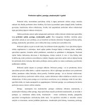 Kultūrinės institucijos moralinė ir socialinė atsakomybė 6 puslapis