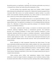 Kultūrinės institucijos moralinė ir socialinė atsakomybė 7 puslapis