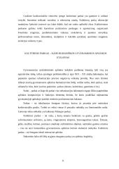 Kultūrinis parkas – kaip žmogaus rekreacinė aplinka 10 puslapis