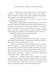 Kultūrinis parkas – kaip žmogaus rekreacinė aplinka 5 puslapis