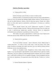 Kultūra filosofijoje 2 puslapis