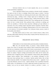 Kultūra filosofijoje 5 puslapis