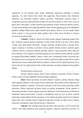 Kultūra filosofijoje 6 puslapis