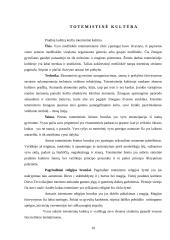 Kultūra filosofijoje 8 puslapis