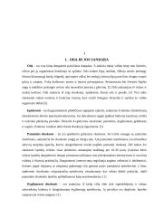 Odos sandara ir funkcijos - referatas 3 puslapis