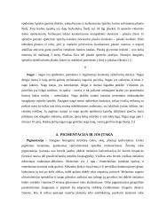 Odos sandara ir funkcijos - referatas 7 puslapis