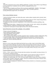 Mažosios Lietuvos atspindžiai I. Simonaitytės romane “Aukštųjų Šimonių likimas” 4 puslapis