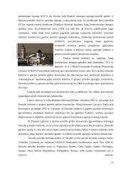 Kultūros paveldo samprata ir struktūra 18 puslapis