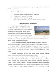 Kultūros paveldo samprata ir struktūra 19 puslapis