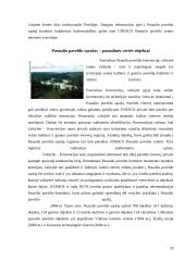 Kultūros paveldo samprata ir struktūra 20 puslapis