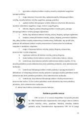 Kultūros paveldo samprata ir struktūra 10 puslapis