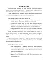 Hidraulinės ir pneumatinės sistemos (kursinis darbas) 2 puslapis