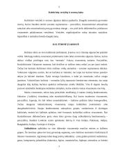 Kultūrų įvairovė 3 puslapis