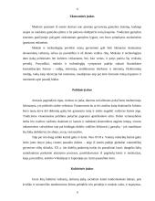 Kultūrų įvairovė 6 puslapis