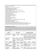 Paauglių gyvenančių kaimiškoje vietovėje laisvalaikio įtraukties užimtumo projektas 5 puslapis