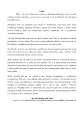 Filosofijos referatas apie meilę 2 puslapis