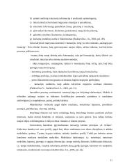 Kūrybinis inovatikos proceso ciklas 11 puslapis