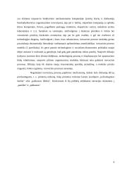Kūrybinis inovatikos proceso ciklas 4 puslapis