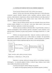 Kūrybinis inovatikos proceso ciklas 10 puslapis