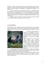 Kurtiniai Lietuvoje 3 puslapis