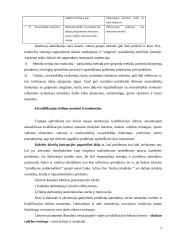 Kvalifikacijos kėlimo strategija 9 puslapis