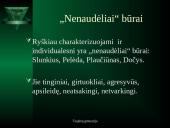 Ponai ir būrai K. Donelaičio „Metuose“  9 puslapis