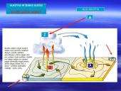 Skaidrės. Orai ir klimatas 17 puslapis