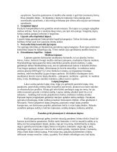 Laiptai ir jų rūšys 4 puslapis