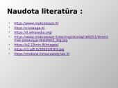 Skaidrės - terorizmas 12 puslapis