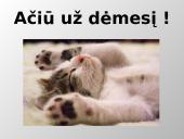 Skaidrės - terorizmas 13 puslapis