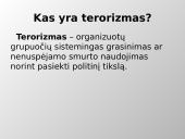 Skaidrės - terorizmas 2 puslapis