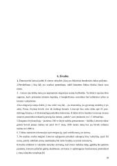 Laisvas asmenų judėjimas: samprata ir įgyvendinimas 18 puslapis