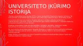 Vilniaus universiteto įkūrimo istorija 3 puslapis