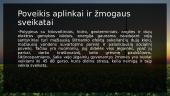 Vėjo jėgainės (skaidrės) 13 puslapis