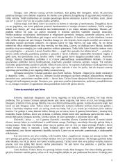 Laisvės samprata referatas 4 puslapis