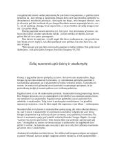 Laisvė ir atsakomybė 3 puslapis