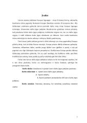 Laisvos darbo jėgos judėjimo pasekmės 2 puslapis