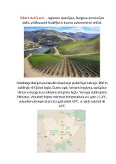 Ūkio planas (prekinis žemės ūkis) 2 puslapis