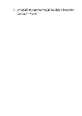 Ūkio planas (prekinis žemės ūkis) 4 puslapis