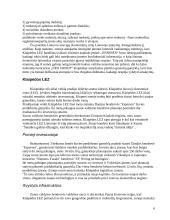 Laisvosios ekonominės zonos - realybė ar mitas? 6 puslapis