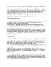 Laisvosios ekonominės zonos - realybė ar mitas? 7 puslapis