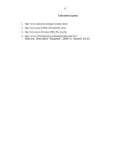 Laisvosios ekonominės zonos Lietuvoje 11 puslapis