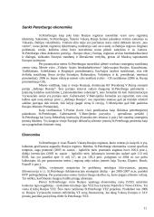 Laisvosios ekonominės zonos Lietuvoje ir užsienio valstybėse 11 puslapis