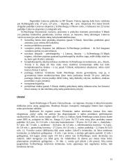 Laisvosios ekonominės zonos Lietuvoje ir užsienio valstybėse 15 puslapis