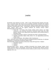 Laisvosios ekonominės zonos Lietuvoje ir užsienio valstybėse 3 puslapis