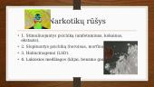 Narkotikų poveikis nervų sistemai 4 puslapis
