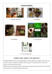 Savarankiškas darbas „Augalininkystės šakos“  3 puslapis