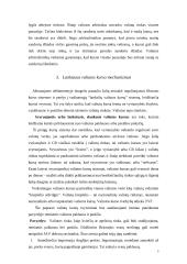 Lankstusis valiutos kursas 5 puslapis