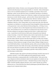 Žmogaus prigimties prieštaringumas lietuvių literatūroje  (V. Mykolaitis-Putinas, V. Krėvė, Just. Marcinkevičius) 3 puslapis