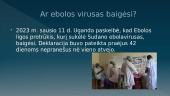 Ebolos virusas (skaidrės) 11 puslapis